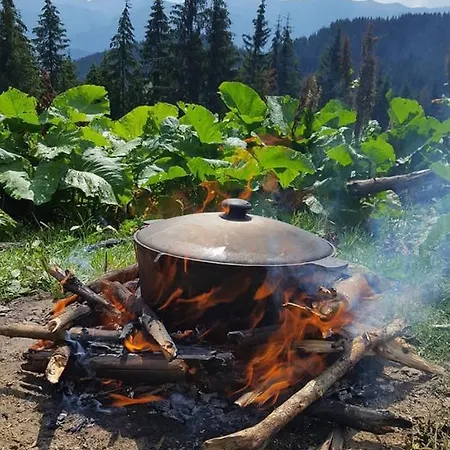 Usadba Gutsulska Koliska