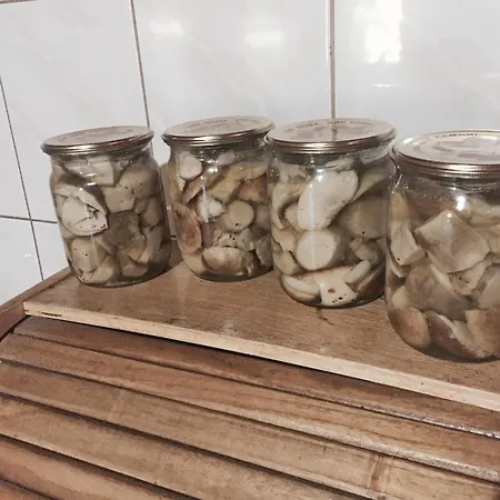 Usadba Gutsulska Koliska Casa de hóspedes