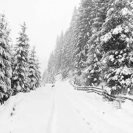Usadba Gutsulska Koliska Verkhovyna